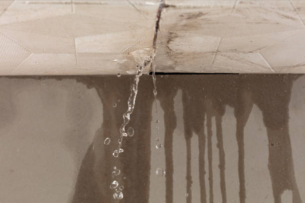 Professional Burst Pipe Cleanup technician working in Greeley, KS